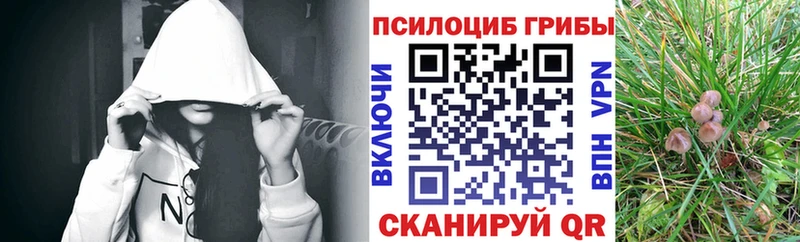 Купить закладки  Навашино  Галлюциногенные грибы Magic Shrooms 